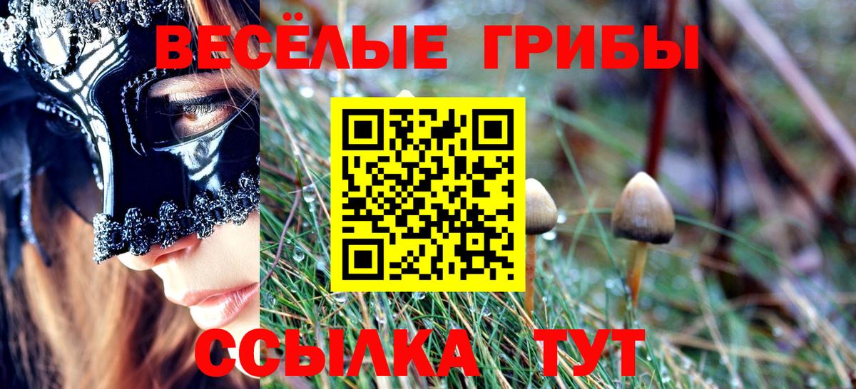 Протвино  ТГК  Конопля  Цена  Лсд 25  Метамфетамин  Вход с VPN  NBOMe  Меф  