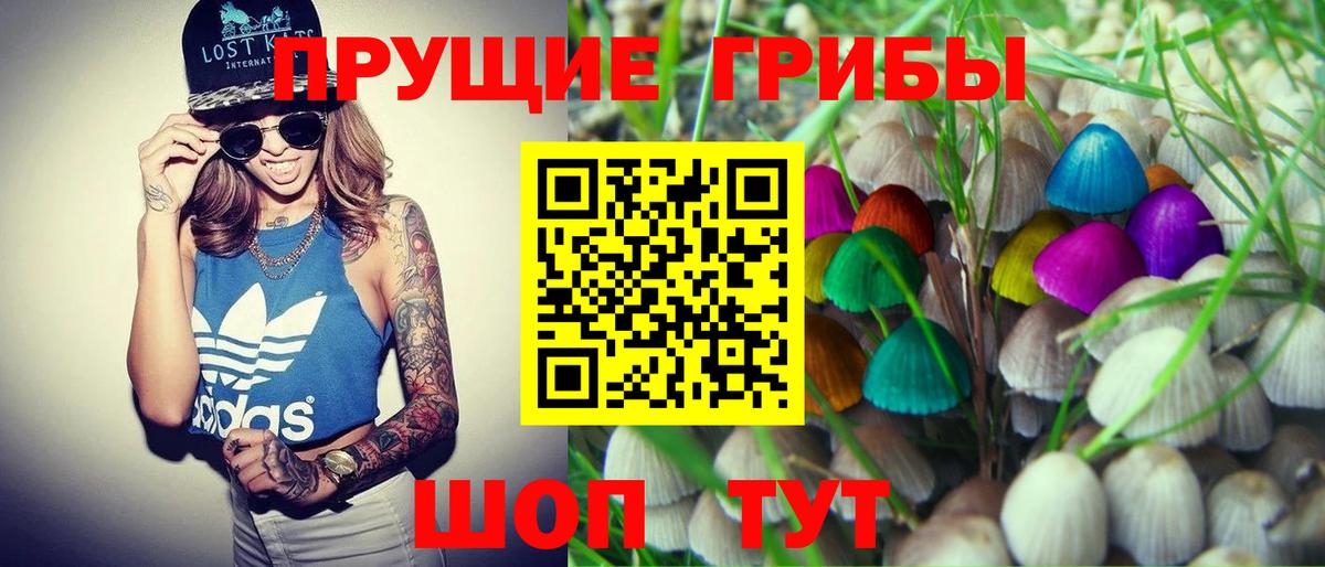 Псилоцибиновые грибы Cubensis  Псилоцибиновые грибы прущие грибы  Вход с VPN  Протвино 
